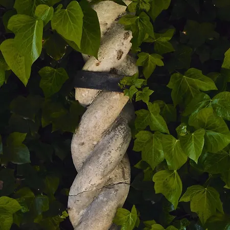 カーサ ルビナッチ アパート *