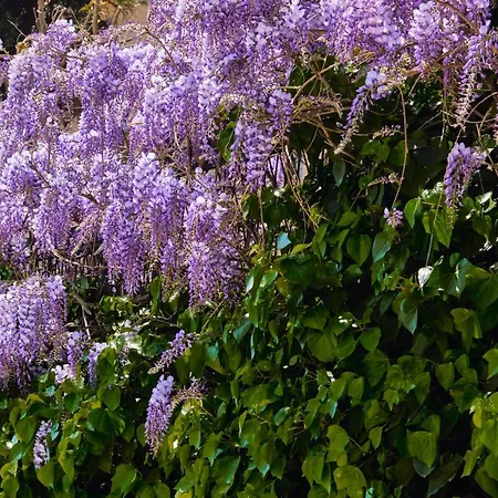 Casa Rubinacci * Naples